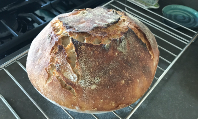 Phil Graitcer's sour dough bread on a rack coming out of the oven.